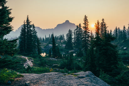 Sun setting behind trees and mountain. 