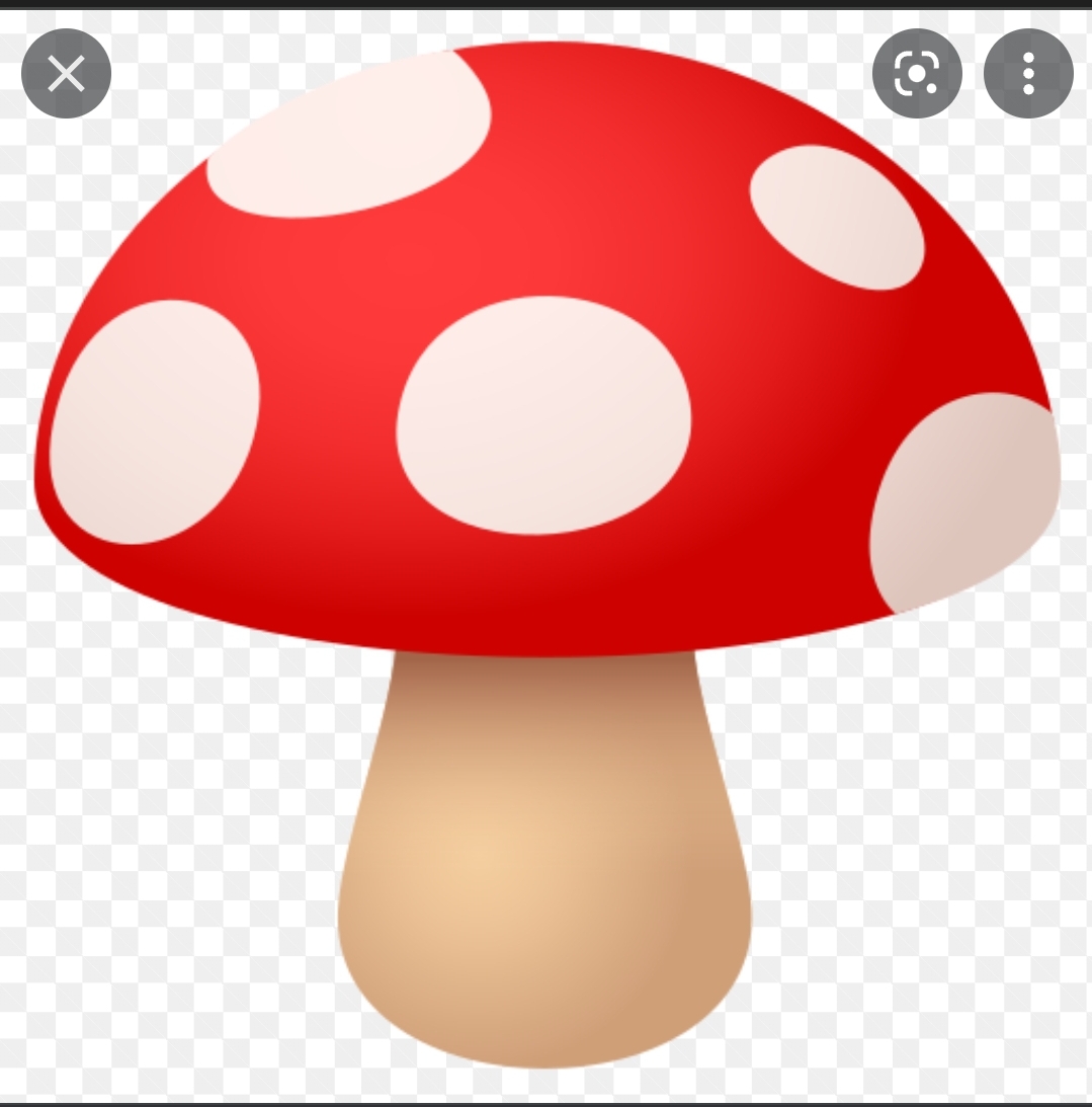 Custom - Mushroom Inlays - CHerry