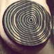 Growth Ring Plugs - Osage